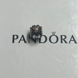 Pandora charm